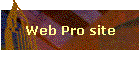 Web Pro site